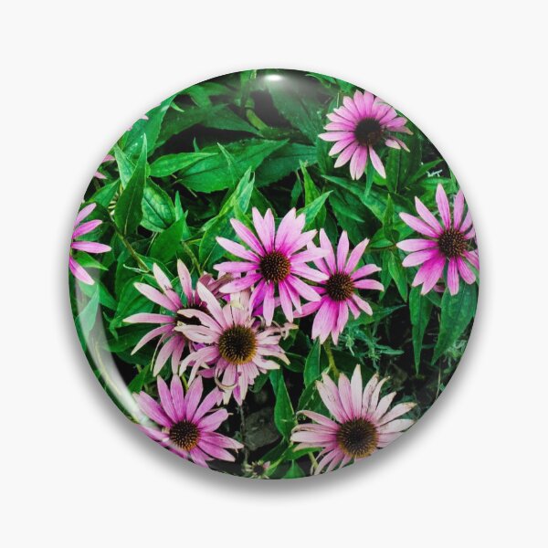 Item preview, Echinacea designed and sold by RavenneArt.