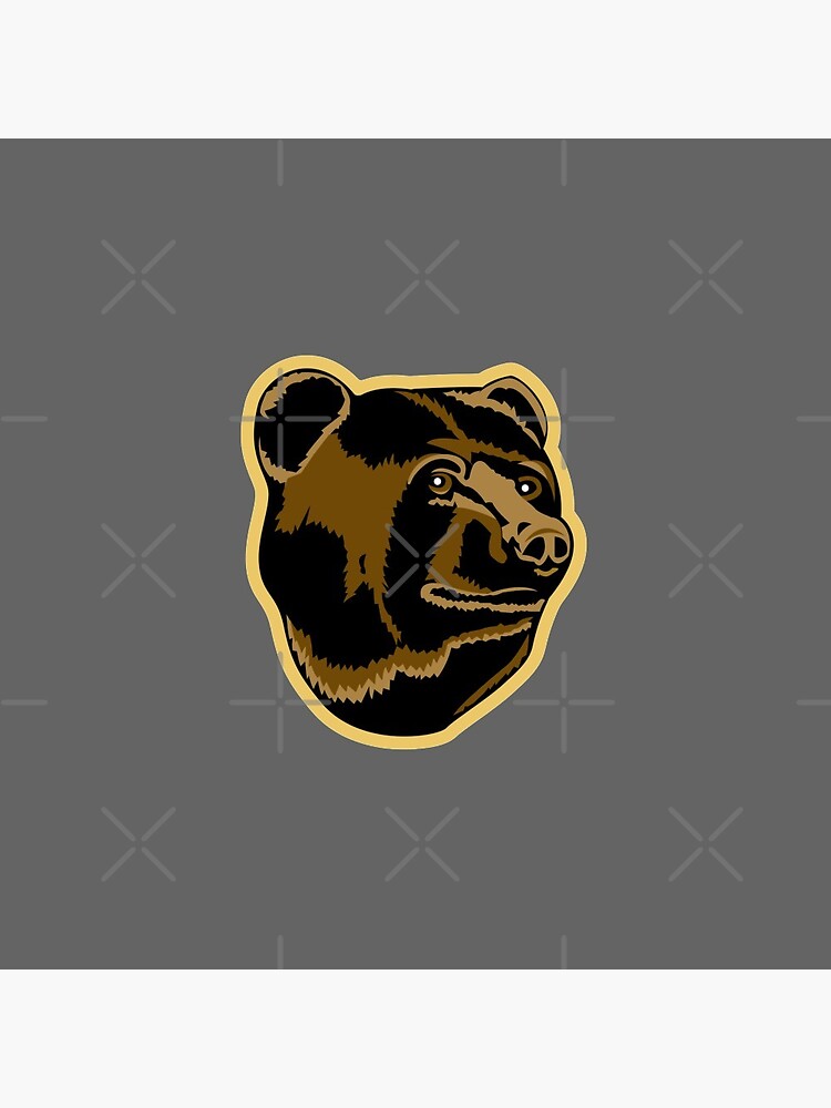 Pin on BRUINS/HOCKEY