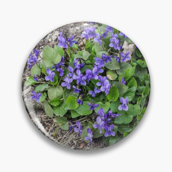 Item preview, Violets designed and sold by RavenneArt.