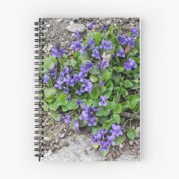 Item preview, Violets designed and sold by RavenneArt.