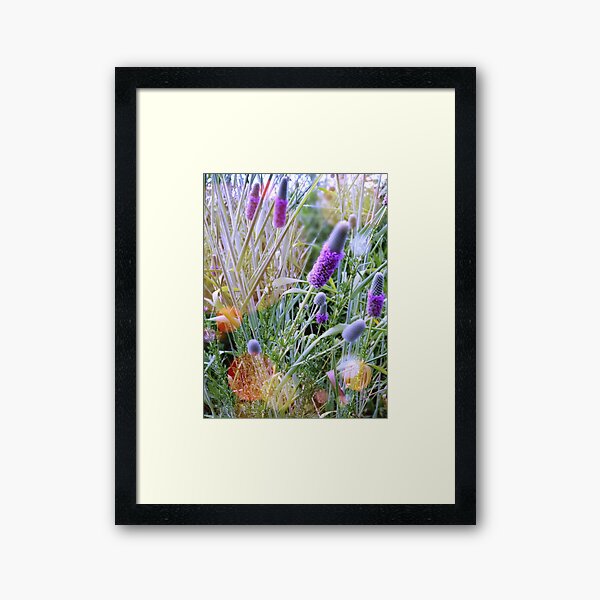 Spring Sunlight Framed Art Print