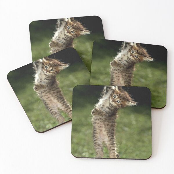 Item preview, Keith Gill the Roaring Kitty Hang in There (DFV) designed and sold by fomodesigns.