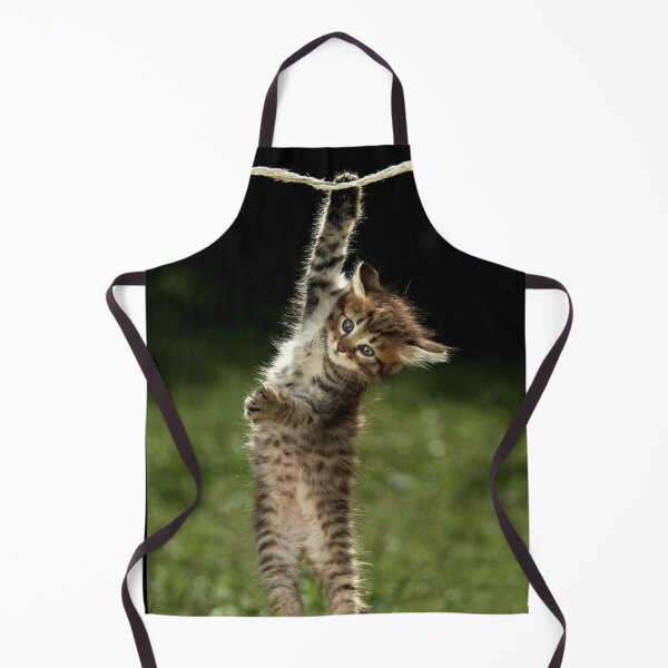 Item preview, Keith Gill the Roaring Kitty Hang in There (DFV) designed and sold by fomodesigns.