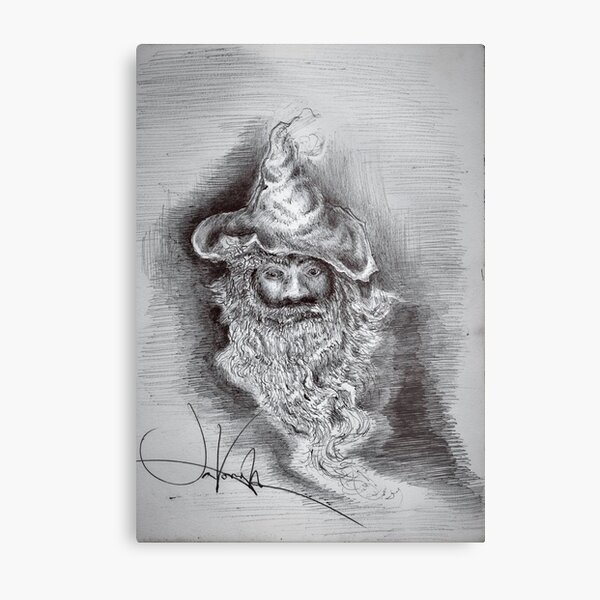 Wizard Face "Lookin' at you?, Or Lookin' For You?" Metal Print