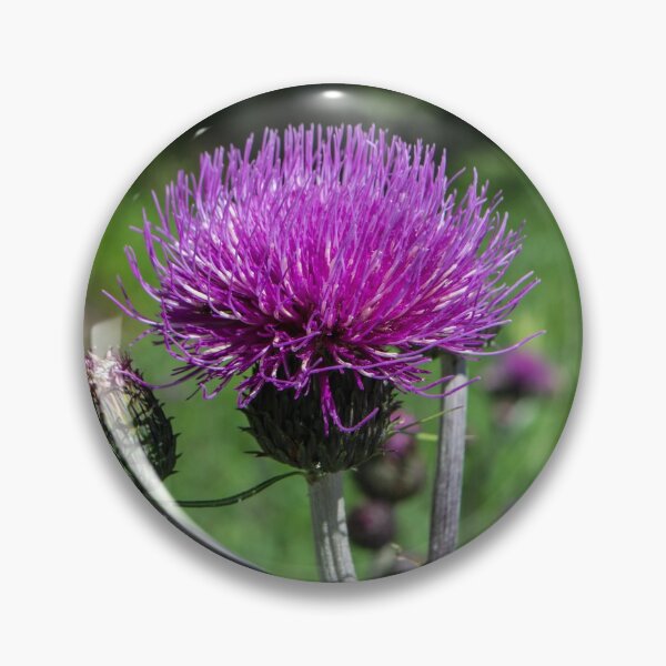 Artikelvorschau, Thistle entworfen und verkauft von RavenneArt.