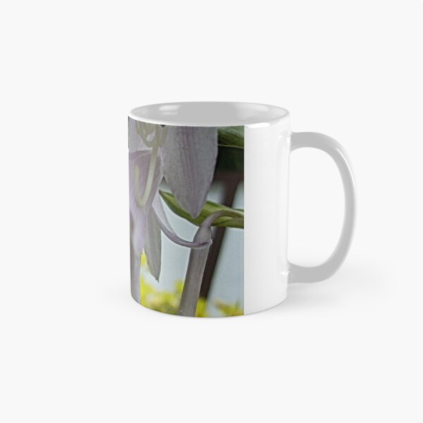 Item preview, Hosta designed and sold by Ana Belaj.