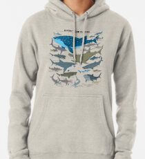 Know Your Sharks Pullover Hoodie