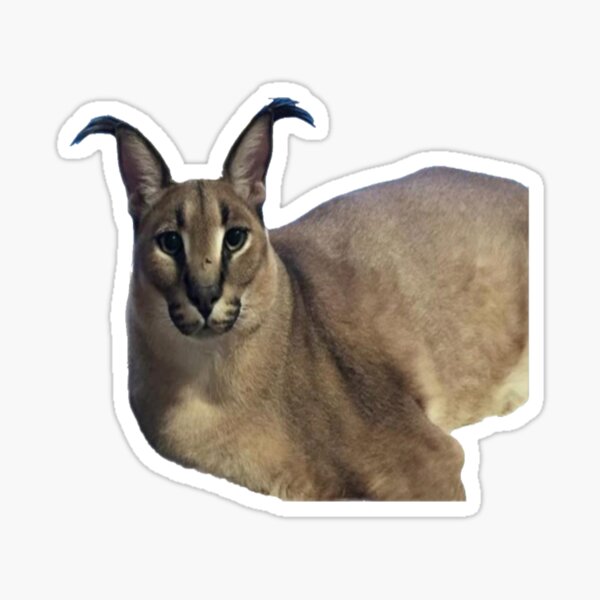 Mexican Lottery, Caracal Cat, The Floppa' Sticker