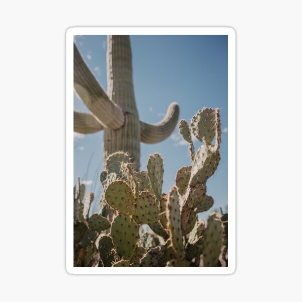 The Mighty Saguaro Cactus Sticker