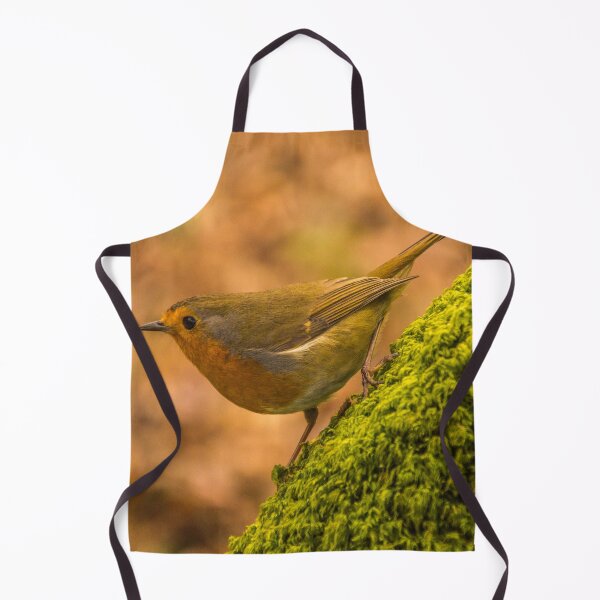 Item preview, Robin Ready For Flight designed and sold by LluniauDafyddEm.