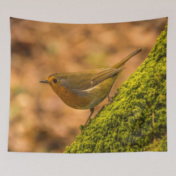 Item preview, Robin Ready For Flight designed and sold by LluniauDafyddEm.