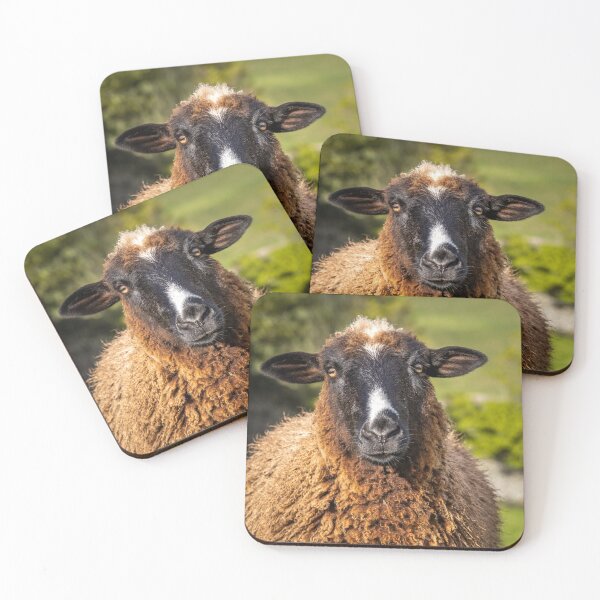 Item preview, Brown and white sheep looking cute. designed and sold by AylaHarbich.