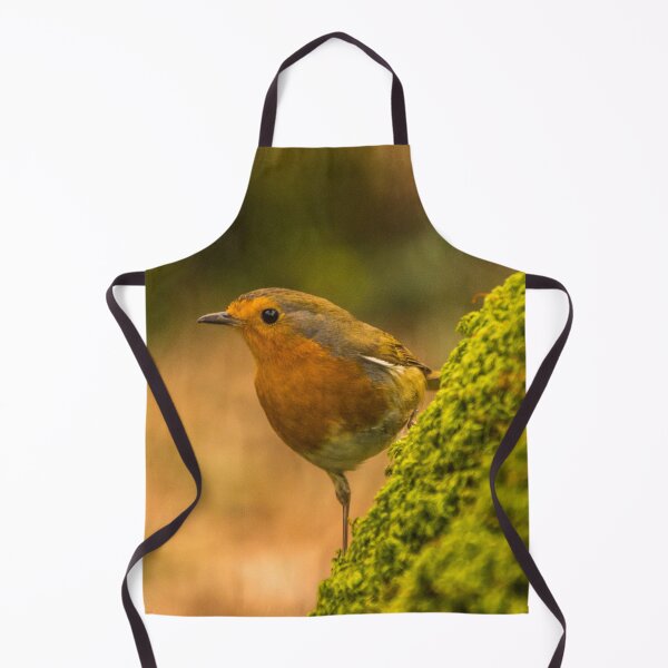 Item preview, A Robin designed and sold by LluniauDafyddEm.