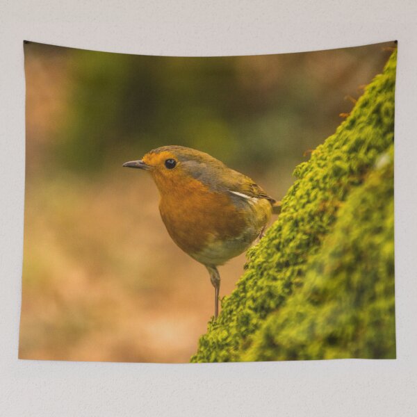 Item preview, A Robin  designed and sold by LluniauDafyddEm.