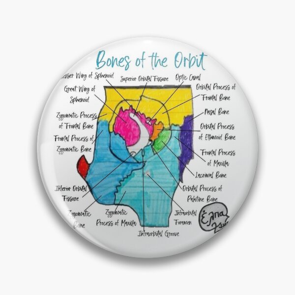 Item preview, The Bones of the Orbit designed and sold by Arte Del Cuerpo Humano.