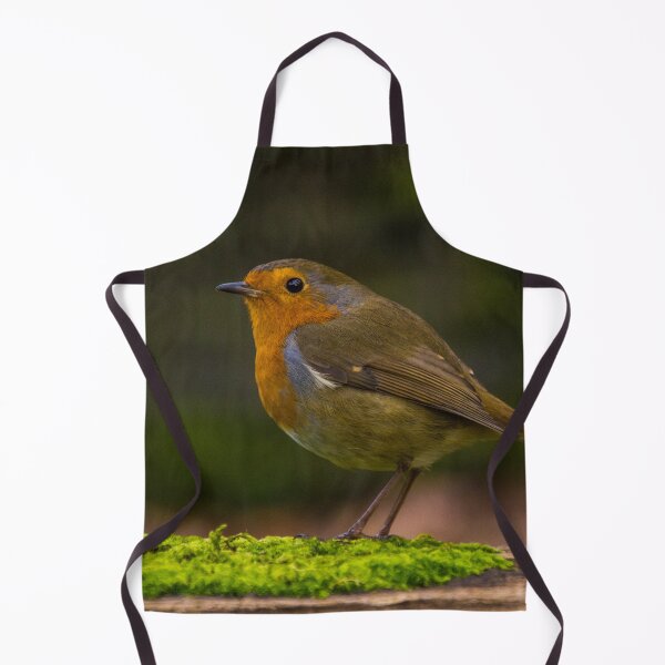 Item preview, Robin 2 designed and sold by LluniauDafyddEm.