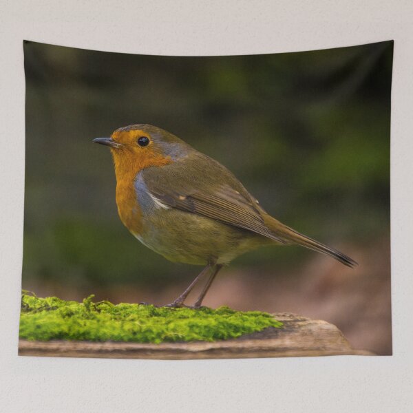Item preview, Robin 2 designed and sold by LluniauDafyddEm.