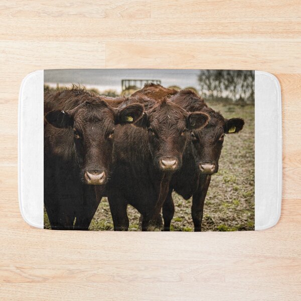 Item preview, Red Poll Trio at Mautby designed and sold by Rebecca Woods.