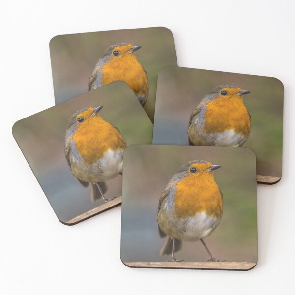 Item preview, Robin 3 designed and sold by LluniauDafyddEm.