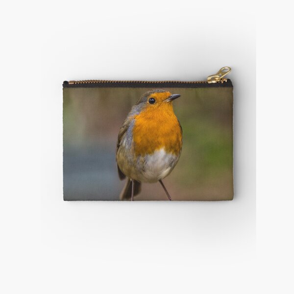 Item preview, Robin 3 designed and sold by LluniauDafyddEm.