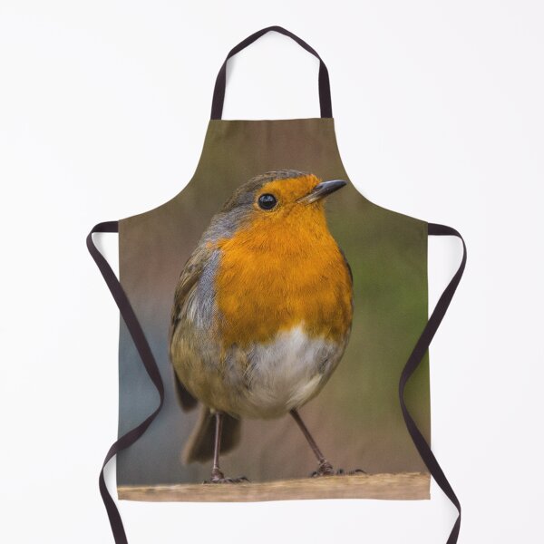 Item preview, Robin 3 designed and sold by LluniauDafyddEm.