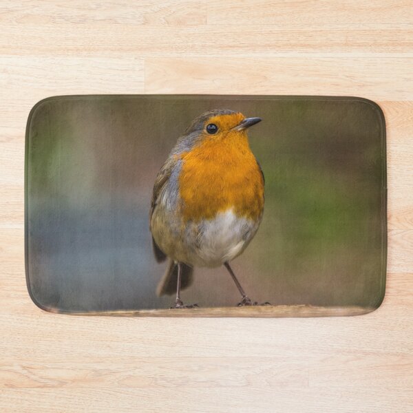 Item preview, Robin 3 designed and sold by LluniauDafyddEm.