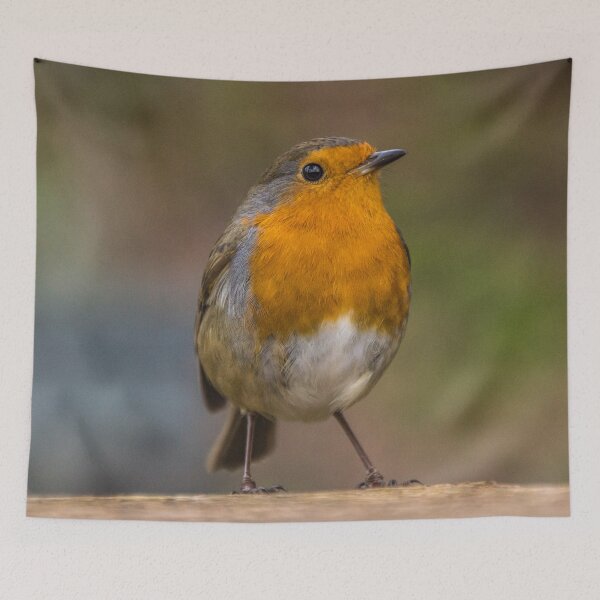 Item preview, Robin 3 designed and sold by LluniauDafyddEm.