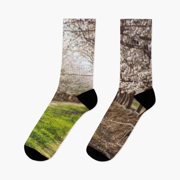 Item preview, Orchard designed and sold by Vanessa Mc Gregor.