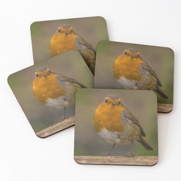 Item preview, Robin 4 designed and sold by LluniauDafyddEm.