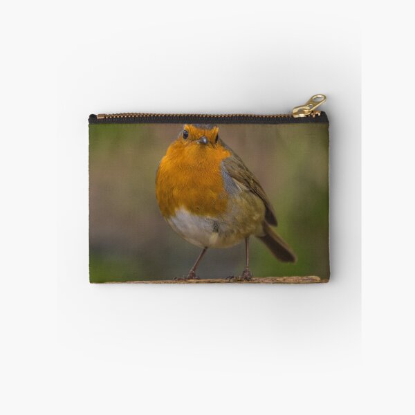 Item preview, Robin 4 designed and sold by LluniauDafyddEm.