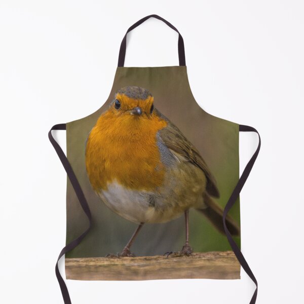 Item preview, Robin 4 designed and sold by LluniauDafyddEm.