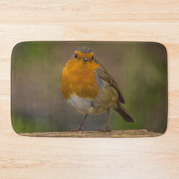 Item preview, Robin 4 designed and sold by LluniauDafyddEm.
