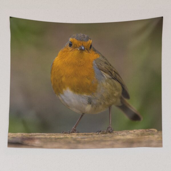 Item preview, Robin 4 designed and sold by LluniauDafyddEm.