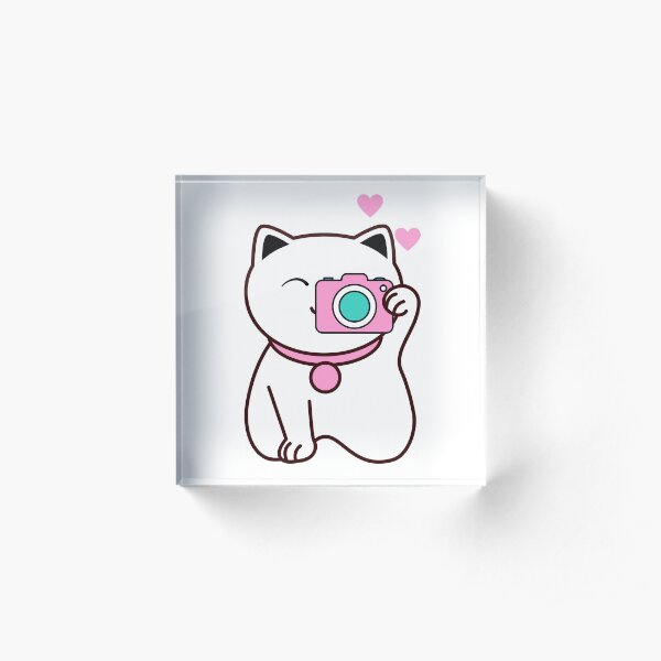 Om Camera Kitty Acrylic Block