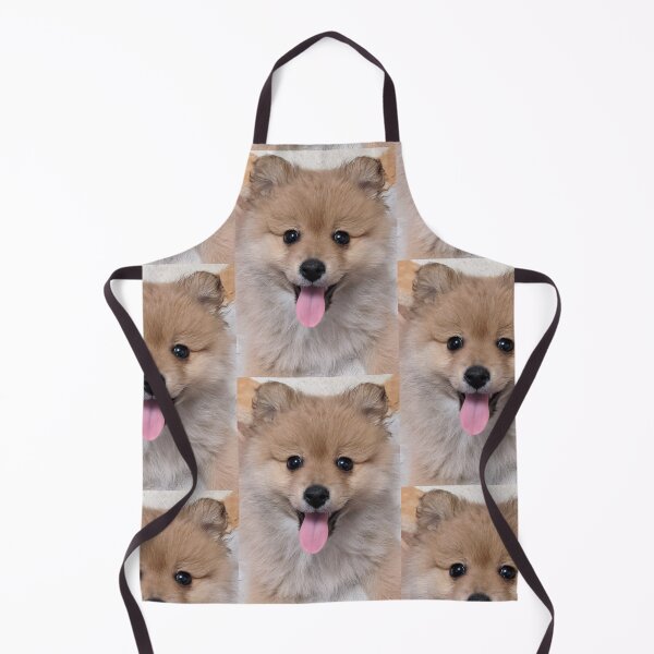 Item preview, Copy of Pomeranian puppy designed and sold by Fluffycat2020.