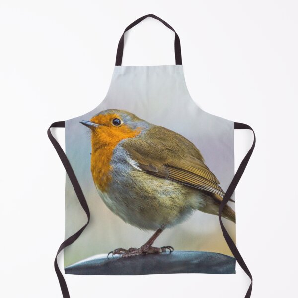 Item preview, Robin 5 designed and sold by LluniauDafyddEm.