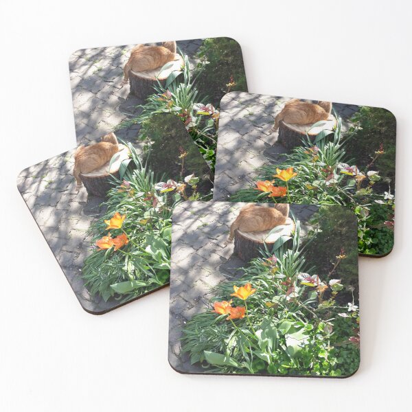 Item preview, Spring, cat chilling, nature designed and sold by UnsereWelt.
