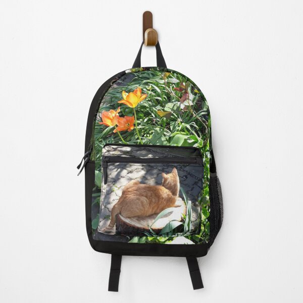 Item preview, Spring, cat chilling, nature designed and sold by UnsereWelt.