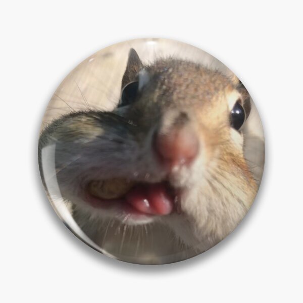 Item preview, Van Gogh the Chipmunk designed and sold by Van Gogh the Chipmunk.