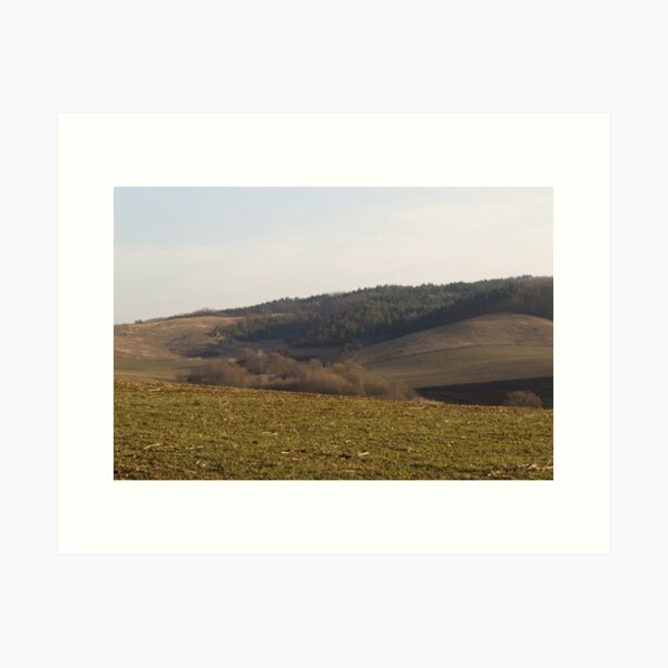 Item preview, Nougat fields designed and sold by RavenneArt.