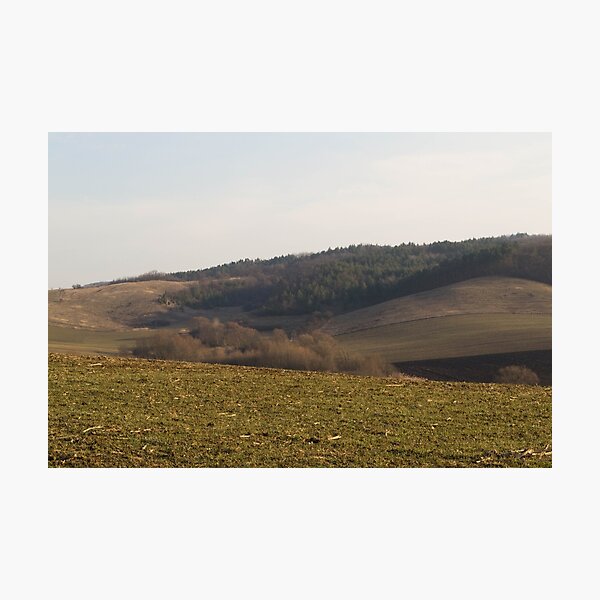 Item preview, Nougat fields designed and sold by RavenneArt.