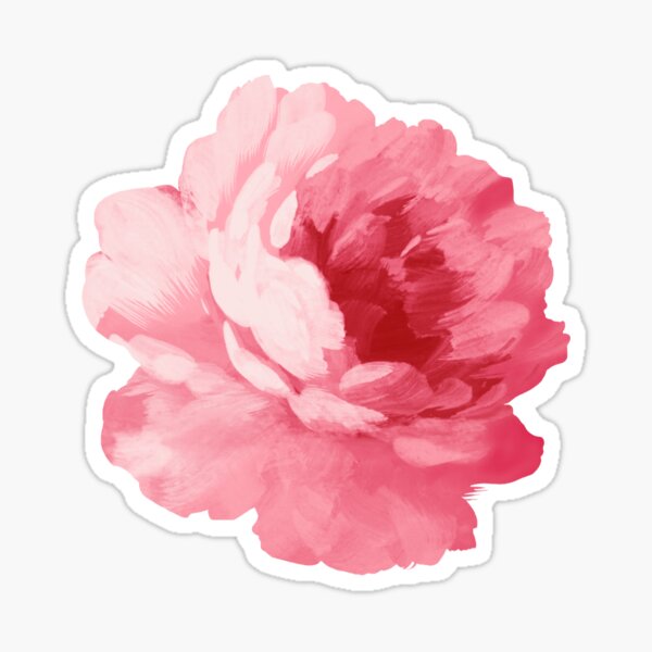 Flower pink peony Sticker