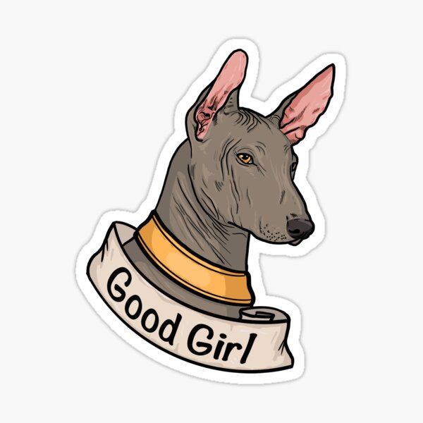Vista previa del artículo con la obra « Xoloitzcuintle - Buena chica», diseñado y vendido por SandrasCreaturs.