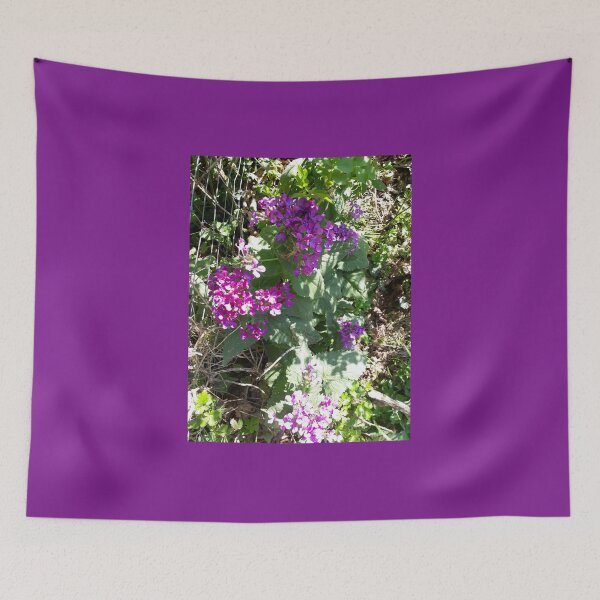 Item preview, Flower on wire fence. Flowers in the garden, spring, April, designed and sold by UnsereWelt.
