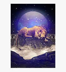 Under the Stars III (Leo Constellation) Photographic Print
