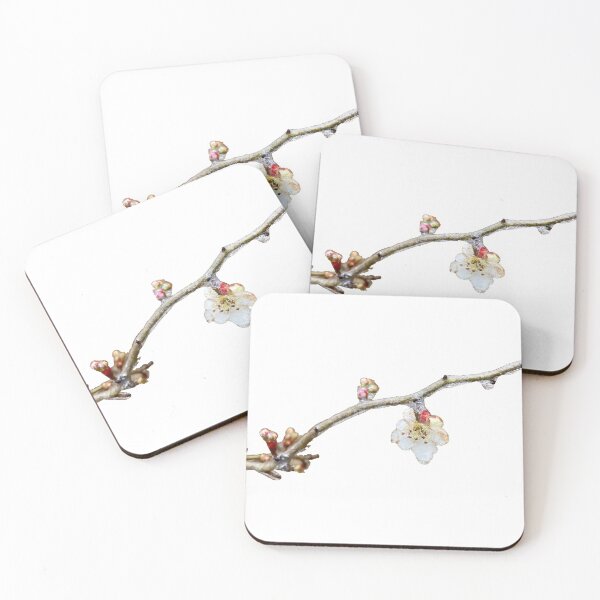 Item preview, Plum Blossom designed and sold by lezell.