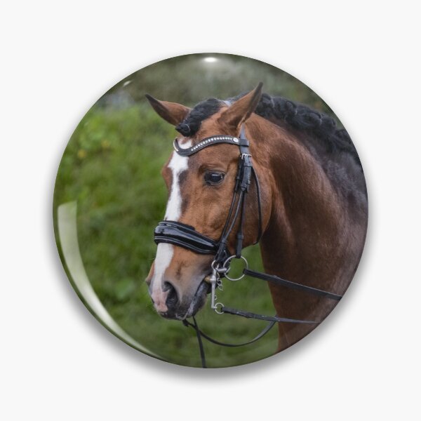 Item preview, Beautiful Lusitano stallion. designed and sold by AylaHarbich.