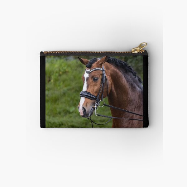 Item preview, Beautiful Lusitano stallion. designed and sold by AylaHarbich.