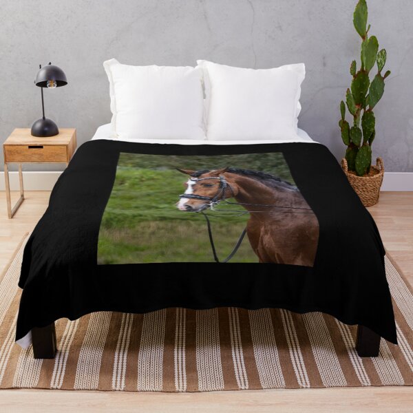 Item preview, Beautiful Lusitano stallion. designed and sold by AylaHarbich.
