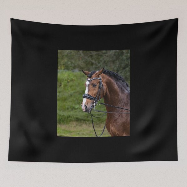 Item preview, Beautiful Lusitano stallion. designed and sold by AylaHarbich.